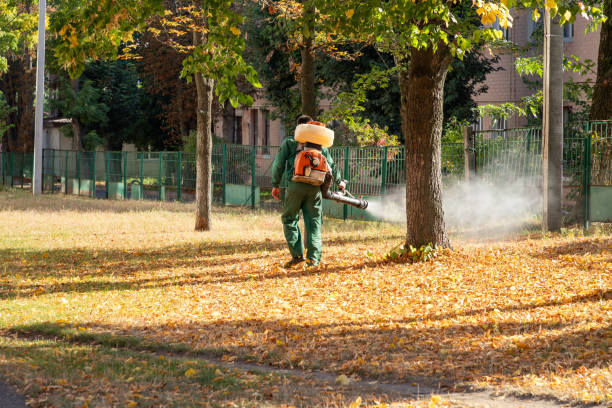 Best Pest Control for Businesses  in Danville, KY